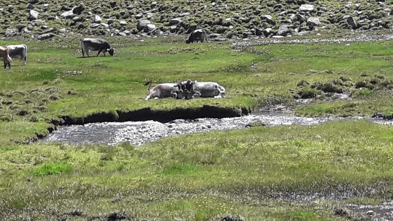 Haus Am Rechten Fleck Kaunertal Esterno foto