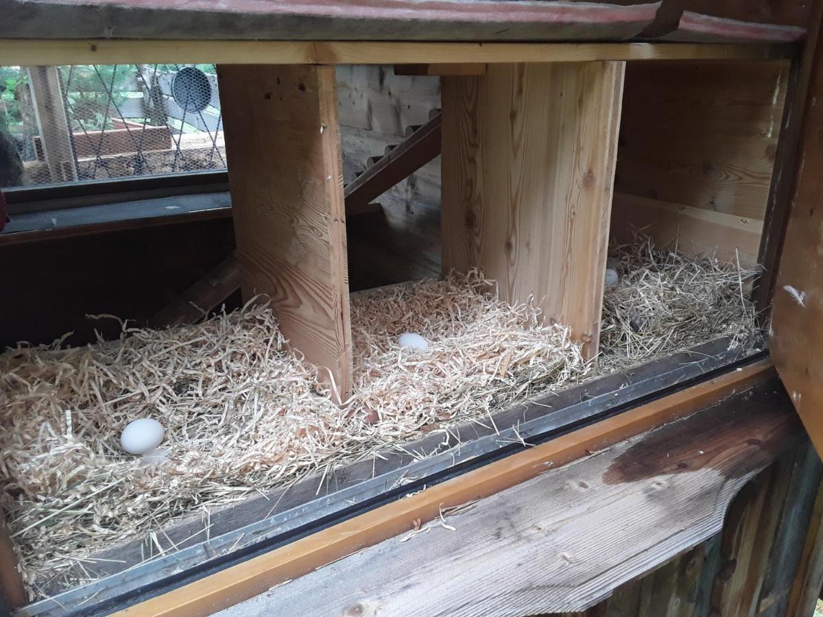 Haus Am Rechten Fleck Kaunertal Esterno foto